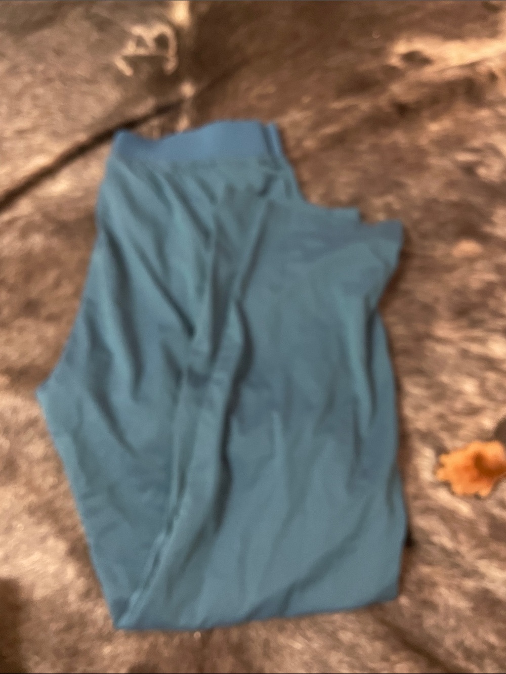 WonderWink Women's Teal Leggings